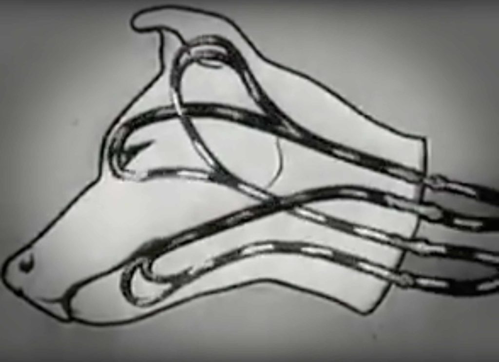 Screenshot from Astronauts video